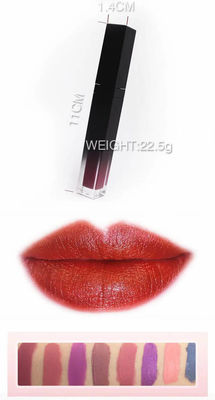 No Logo Tube Long Lasting 40 Colors Matte Lipstick Gloss